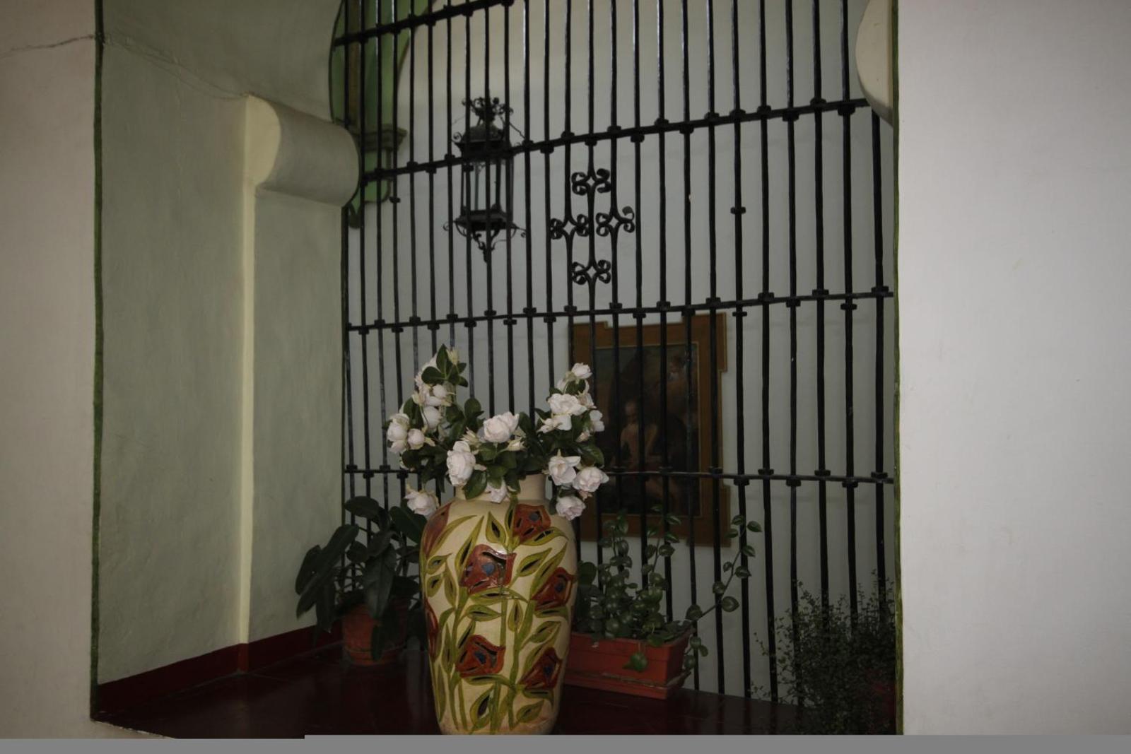 Hotel Monte Alban - Solo Adultos